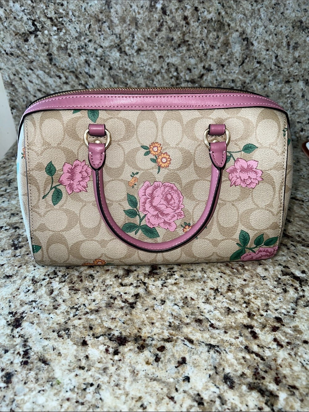 Coach Beige Signature Floral Satchel with Pink Trim and Green Leaves - Picture 3 of 8